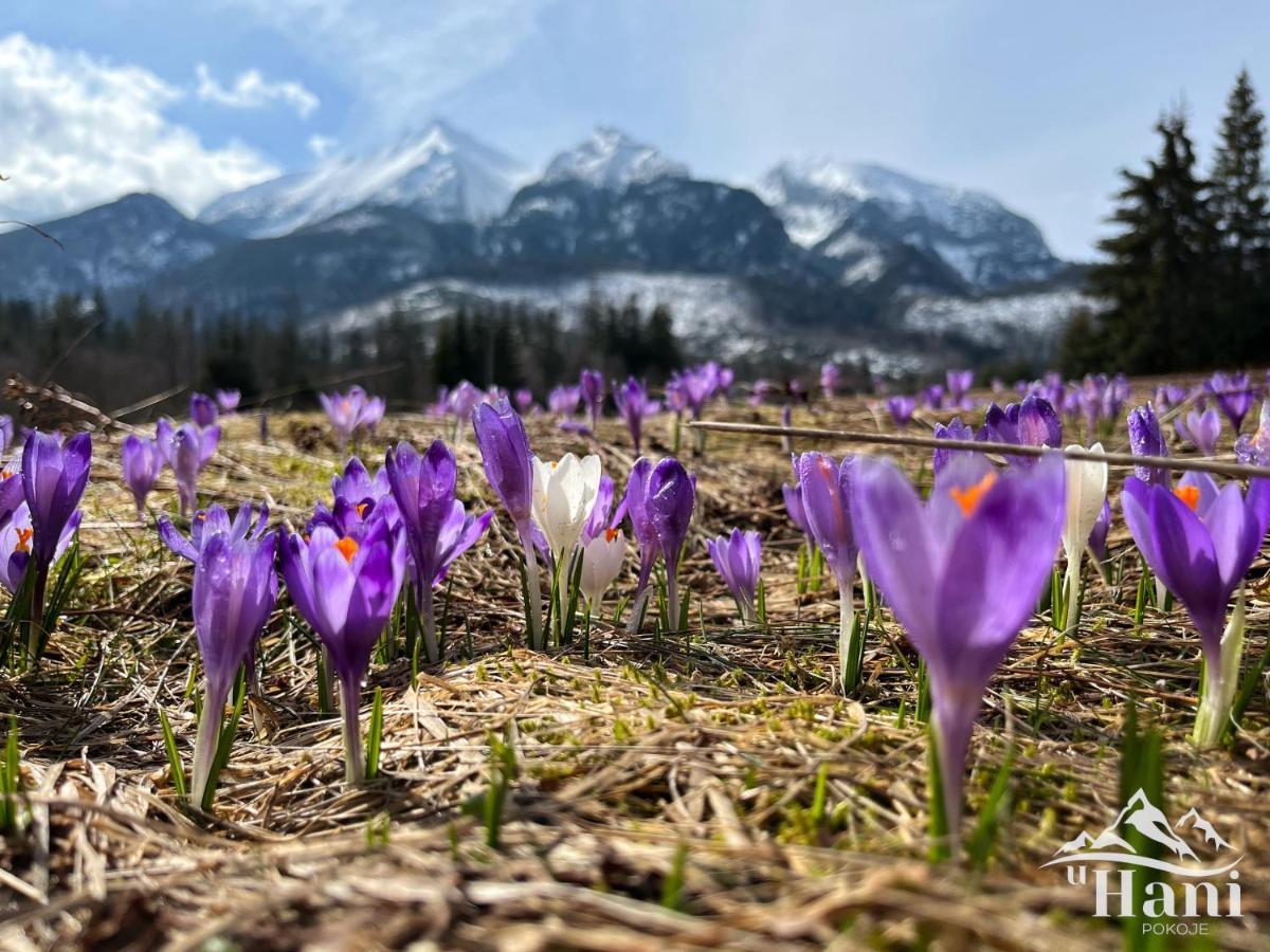 Pokoje U Hani - Sauna, Balia Z Hydromasazem Bukowina Tatrzańska Exterior foto